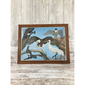 James Kukrul Wildlife Print Signed & Framed Eagle Crane Woodpecker 22x27